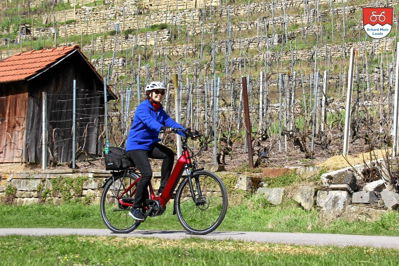 Tauber-Rad SPORT intube Deep Der Neckar-Radweg bei Marbach wird gesäumt von ursprünglichen Weinbergen in Steillagen. Immer wieder halten wir an und sind fasziniert von der Landschaft. Sind beeindruckt von der menschlichen Mühe, die es kosten muss. Sind am Abend begeistert von dem Trollinger, den wir genießen.