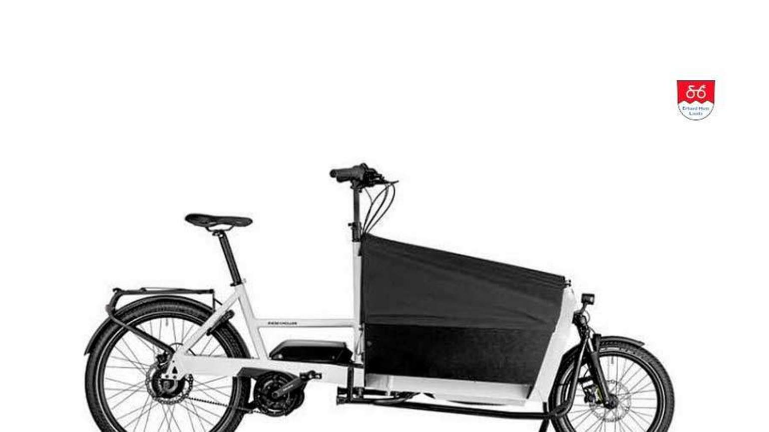 Riese und Müller Transporter 65 vario Riese und Müller Transporter 65 vario