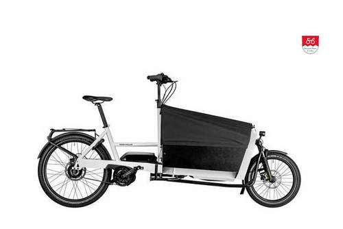 Riese und Müller Transporter 65 vario Riese und Müller Transporter 65 vario