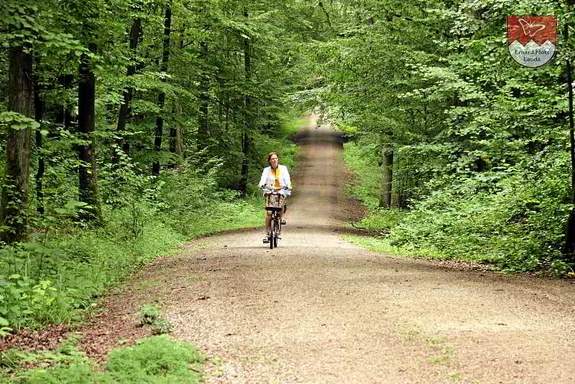 Solche Waldwege schaffen Sie auf einem Vitali COUNTRY Elektrofaltrad mit 7-Gang Shimano Nabenschaltung mühelos! Elektrofaltrad mit 7-Gang Shimano Rücktrittbremse