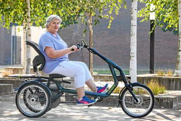 e-Dreirad-van-raam-easy-rider