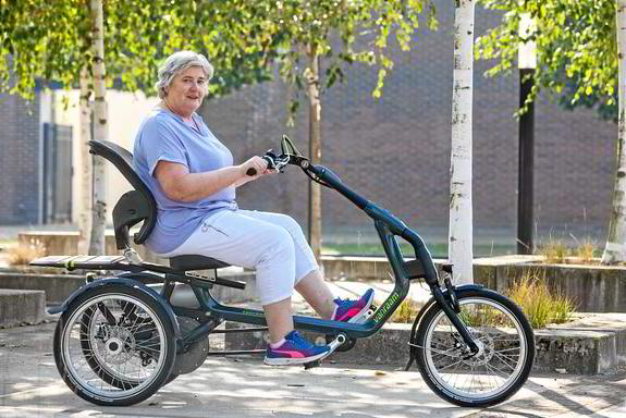 Auf dem Van Raam Dreirad E-Bike Easy Rider fahren Sie sehr sicher Auf dem Van Raam Dreirad E-Bike Easy Rider fahren Sie sehr sicher
