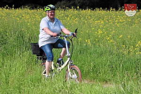 Vitali Country | E-Klapprad