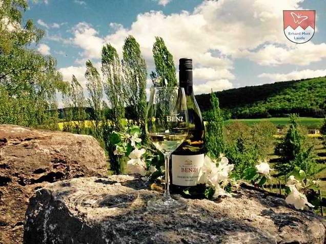 Weingut Benz Weingut Benz