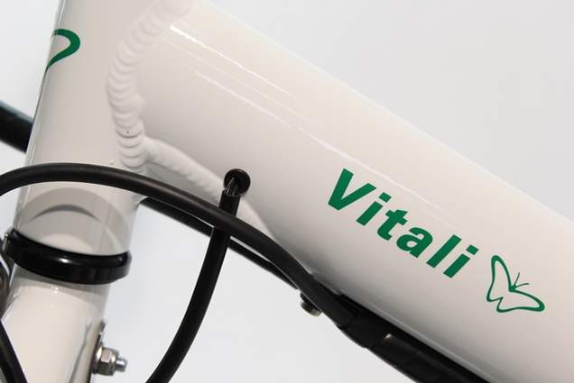 Vitali Elektroklapprad Dekor Grün Vitali Elektroklapprad Dekor Grün