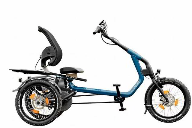 Van Raam Easy Rider – komfortables Therapie E-Bike Dreirad Van Raam Easy Rider E-Dreirad für Erwachsene mit komfortablem Sitz