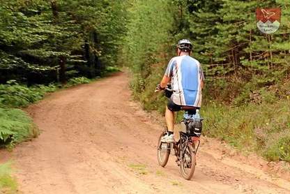 Traktion und Spursicherheit Traktion und Spursicherheit auf sandigen Wegen (hier im Pfälzer Wald)