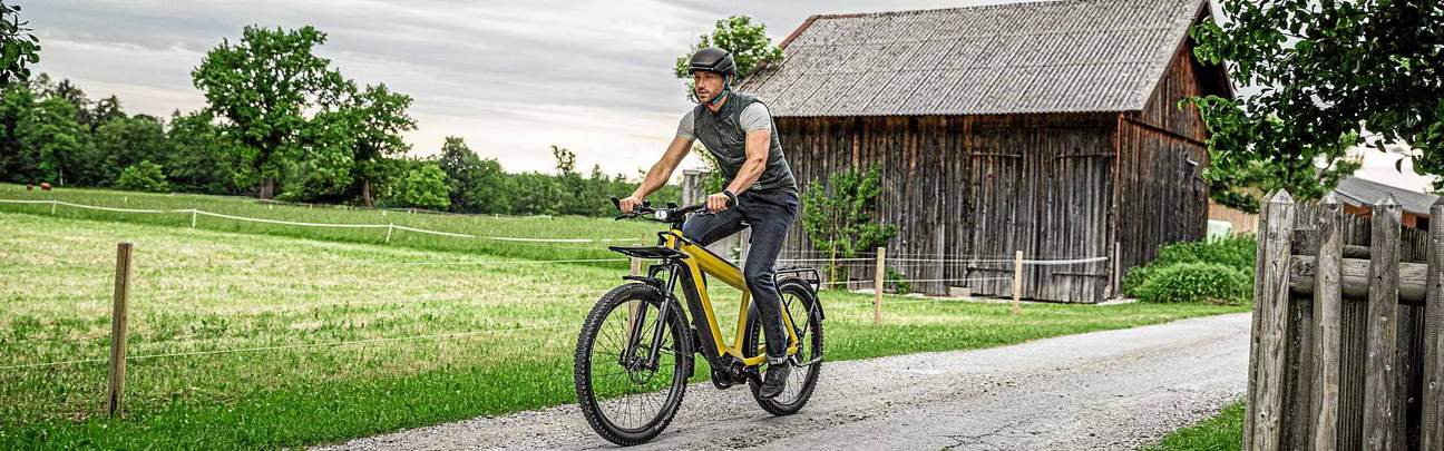 Riese und Müller Vorführ-eBikes reduziert sale % Riese und Müller Vorführ-eBikes reduziert sale %