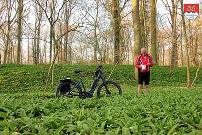 E-Bike Abenteuer Tauber-Rad Crossover Bärlauch Durch den Wald geht es zwei mal gerade aus und zwei mal links und Sie erreichen eine mächtige Keltenschanze. Da die Kelten offensichtlich Bärlauch liebten, wächst bis zum heutigen Tag dort dieses Frühlingsgemüse in Hülle und Fülle. Fette Beute für die Frau zuhause, die daraus Bärlauchsuppe kochen muss!