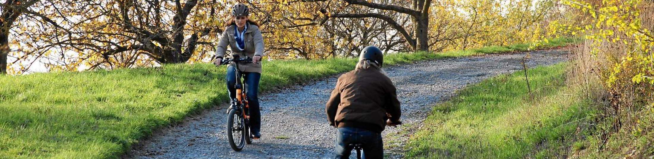 E-Bike Kaufberatung & Probefahrt E-Bike Kaufberatung & Probefahrt bei Erhard Mott in Lauda