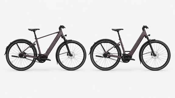 Riese & Müller Veya – Diamant und Tiefeinstieg Riese & Müller Veya E-Bikes in Dusty Purple als Diamant- und Tiefeinstieg-Modell