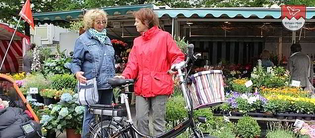 Vitali Elektroklapprad online Kaufberatung » Vitali Elektroklapprad online Kaufberatung »