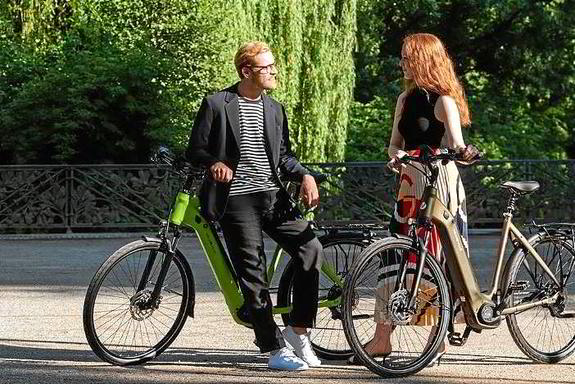 Velo de Ville Allround Velo de Ville Allround