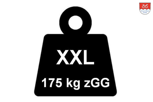 XXXL E-Bike | 175 kg zGG