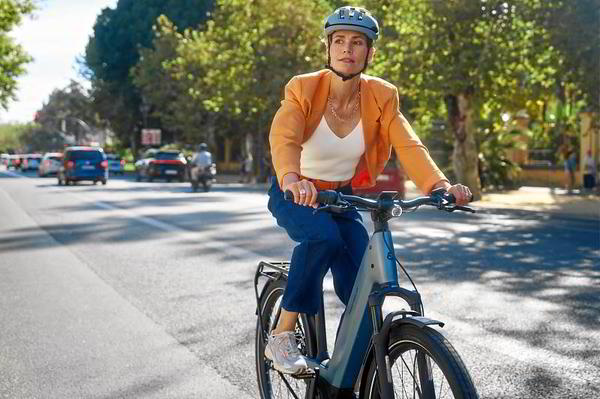 Riese & Müller Nevo5 Rohloff Testbike mit Tiefeinstieg bei E-Bike Mott Lauda