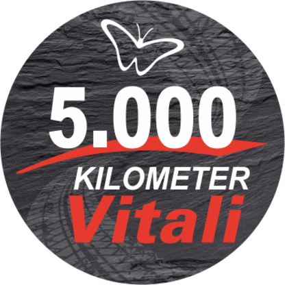 E-Faltrad Vitali | 5000 Km König E-Faltrad Vitali | 5000 Km König