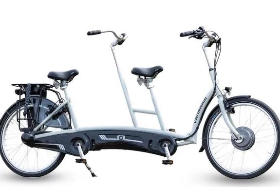 Van Raam Twinny in Lauda bei E-Bike Mott Van Raam Twinny beim Mobilitätstag in Lauda