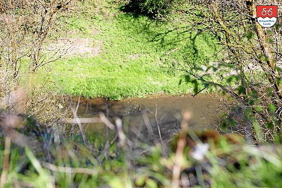 Ehemaliger Steinbruch vor Lobenhausen Ehemaliger Steinbruch vor Lobenhausen