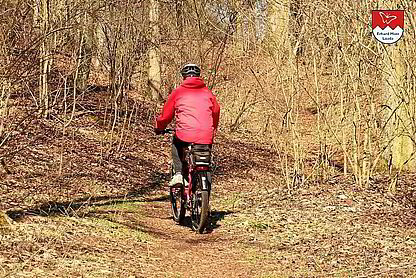 E-Mountainbike mit Enviolo / NuVinci Nabenschaltung Ein E-Mountainbike mit Enviolo / NuVinci Nabenschaltung wäre für Sportfreaks undenkbar. Denn der geringe Leistungsverlust in der Nabe hätte beim Rudelfahren einen spürbaren Nachteil. Nicht aber für Entdecker, Geologen Naturfreunde, Botaniker, Jäger, Förster... Denn wehe, es kommt auf einem Waldweg ein kleiner Ast ins Hinterrad und das Kettenschaltwerk verreißt. Dann kann unser Sportler sein geliebtes E-Mountainbike wegen Schaltwerkdefekt nach Hause schieben.