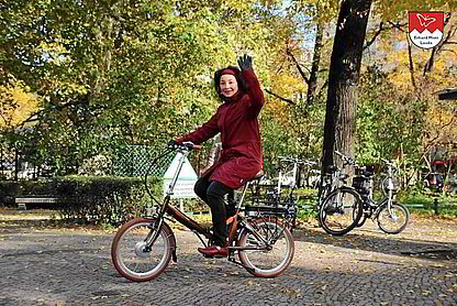 Vitali COUNTRY Elektroklapprad in Berlin Vitali COUNTRY E-Bike in Berlin