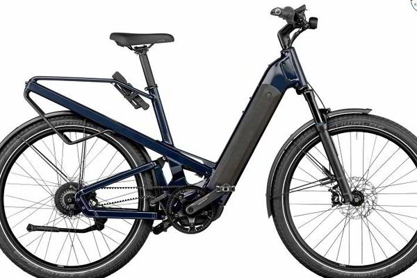  Riese und Müller Homage Rohloff E-14