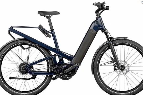  Riese und Müller Homage Rohloff E-14