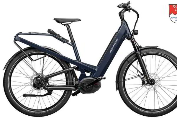 Riese und Müller Homage GT Rohloff E-14 + Zahnriemen
