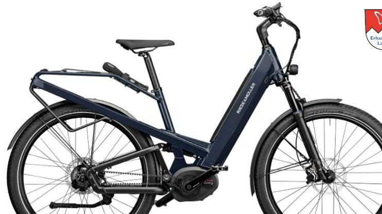 Riese und Müller Homage GT Rohloff E-14 + Zahnriemen Riese und Müller Homage GT Rohloff E-14 + Zahnriemen