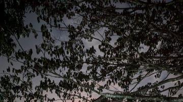 image-37340
