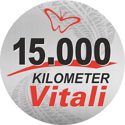 Elektroklapprad Vitali | 15.000 Km König E-Bike Klapprad Vitali | 15.000 Km König