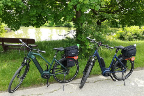 ebike mott frese