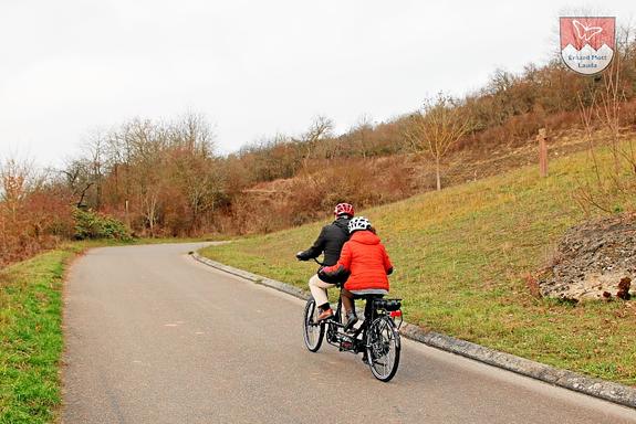 Mit dem starken BROSE Mittelmotor und der 14-Gang Rohloff Schaltung fahren Sie mit dem Tauber-Rad Rohloff Tandem mühelos auch steile Berge hoch! Mit dem starken BROSE Mittelmotor und der 14-Gang Rohloff Schaltung fahren Sie mit dem Tauber-Rad Rohloff Tandem mühelos auch steile Berge hoch!
