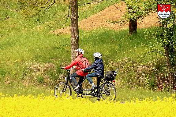 Besuchen Sie uns in Lauda und testen Sie die Tauber-Rad Tandem E-Bikes auf unseren wunderschönen Teststrecken in der Umgebung. Besuchen Sie uns in Lauda und testen Sie die Tauber-Rad Tandem E-Bikes auf unseren wunderschönen Teststrecken in der Umgebung.