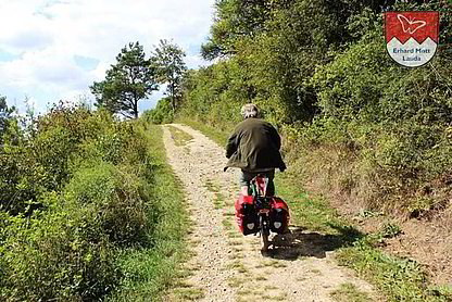 Elektro-Klapprad Vitali ROADSTER FrankenBernd FrankenBernd zeigt mir seine Heimat bei Karlstadt am Main. Zu Fuß wäre die Strecke viel zu lang gewesen. Auf unseren Vitalis war es gerade recht. Und in einem Weinbergpavillon hat Bernd ein Vesper mit genau dem Boxbeutel aus der Lage aus seiner Packtasche gezaubert!!!