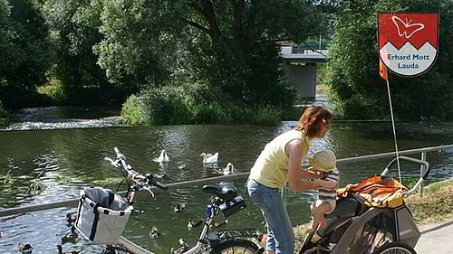 Familien E-Bike mit Anhänger
