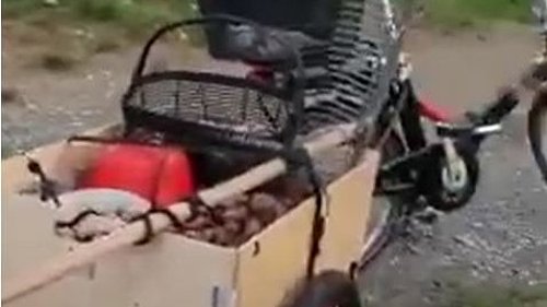 Nussernte mit E-Bike und Anhänger Nussernte mit Vitali E-Bike plus Anhänger. Es geht auch ohne Auto! Erhard & Günter ernten über 100 kg Walnüsse! Nach Hause bringen die beiden die reiche Ernte mit Ihren E-Bikes. In Packtaschen und einem Anhänger. Warum nehmen die beiden nicht das Auto? Weil es mit den E-Bikes mehr Spaß macht!