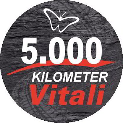 Elektroklapprad Vitali | 5000 Km König Elektroklapprad Vitali | 5000 Km König