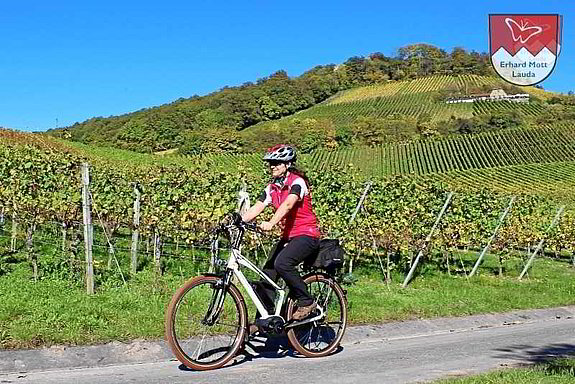 Riese & Müller Cruiser Mixte Gibt es etwas Schöneres, als mit einem Riese & Müller Cruiser einen Besuch im Handthal abzustatten? Oberhalb des Weinbergs finden Sie die Burgruine Stollburg...