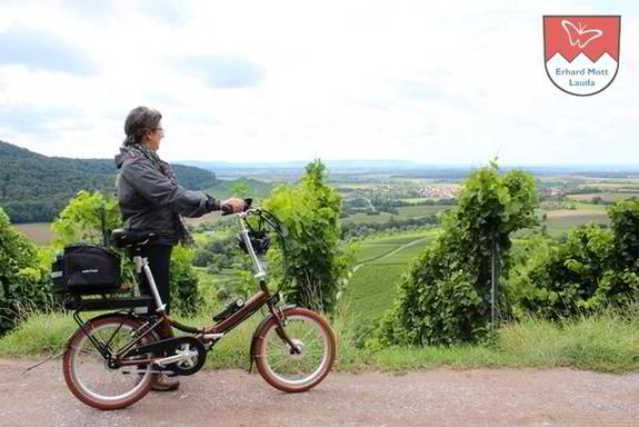 Mit dem Vitali Elektroklapprad im Steigerwald Mit dem Vitali Elektroklapprad im Steigerwald