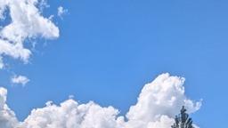 image-37345