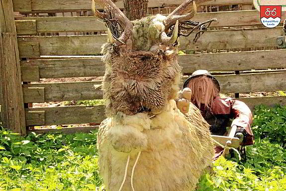 skurriles Freiluftmuseum in Kleinhürden skurriles Freiluftmuseum in Kleinhürden