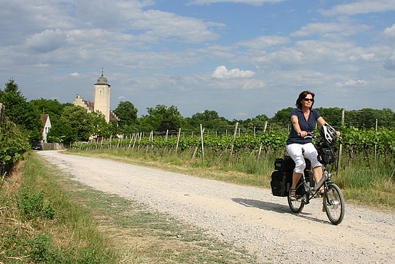 2012 2-Tagestour von Bamberg nach Kitzingen auf dem Vitali Tour, ausgestattet mit 3-fach Fahrradkoffern. Test der Steigfähigkeit auf einer Schotterstrecke im Weinberg oberhalb der Hallburg bei Volkach am Main. 2012 2-Tagestour von Bamberg nach Kitzingen auf dem Vitali Tour, ausgestattet mit 3-fach Fahrradkoffern. Test der Steigfähigkeit auf einer Schotterstrecke im Weinberg oberhalb der Hallburg bei Volkach am Main.