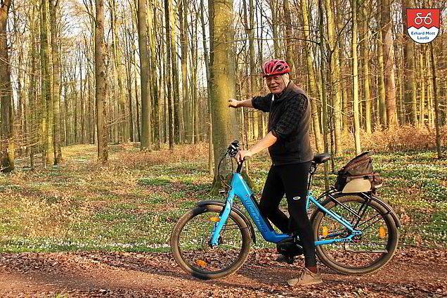 das ideale Geländefahrzeug für Waldwege Ein E-MTB mit Straßenausstattung ist das ideale Geländefahrzeug für Waldwege