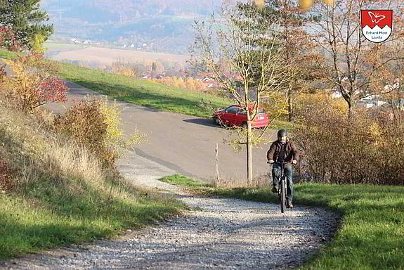 Cross_E-Bike_Teststrecke_alte_Weinberge-2