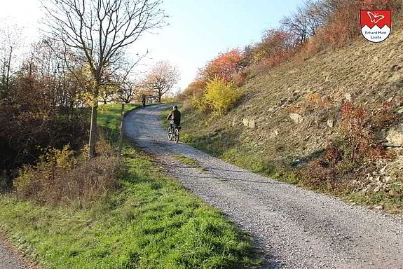 Cross_E-Bike_Teststrecke_alte_Weinberge-3