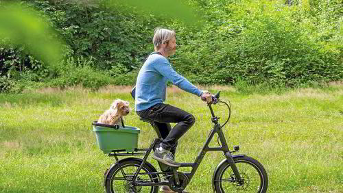 E-Bikes für Senioren – 20 Jahre Erfahrung | eBike Mott Lauda E-Bikes für Senioren – 20 Jahre Erfahrung | eBike Mott Lauda