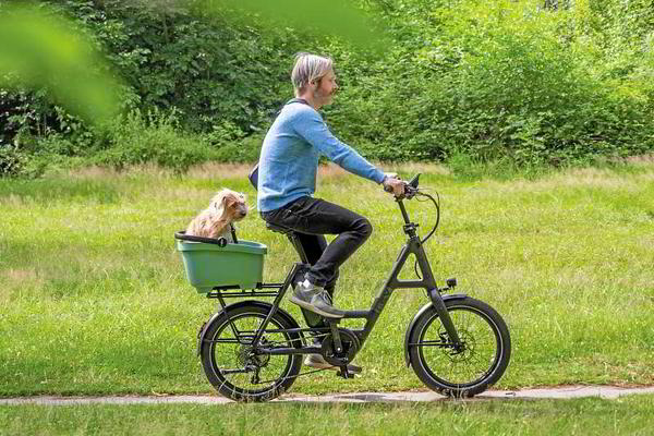 E-Bikes für Senioren – 20 Jahre Erfahrung | eBike Mott Lauda