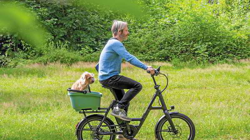 E-Bikes für Senioren – 20 Jahre Erfahrung | eBike Mott Lauda E-Bikes für Senioren – 20 Jahre Erfahrung | eBike Mott Lauda