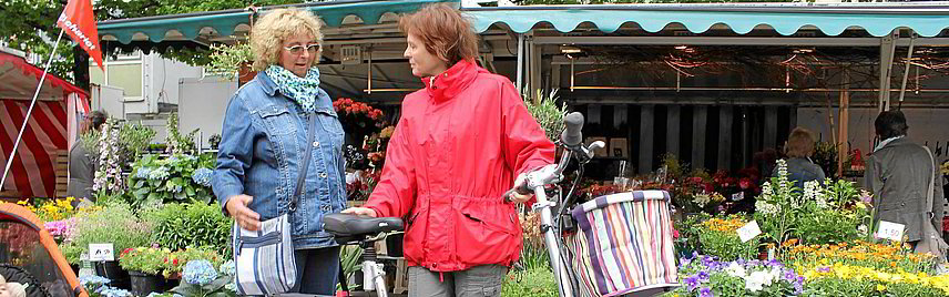 zur online Kaufberatung City eBikes » zur online Kaufberatung City eBikes »