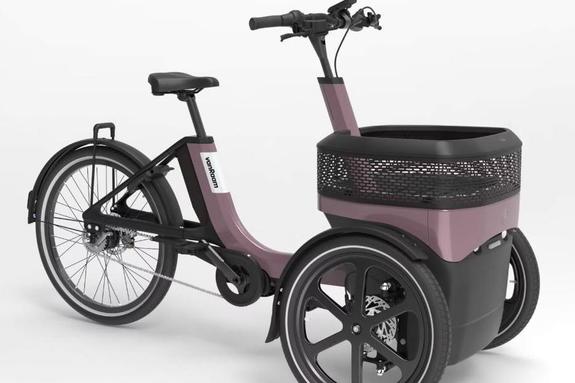 Van Raam Thuja in Lauda bei E-Bike Mott Van Raam Thuja beim Dreirad-Mobilitätstag in Lauda